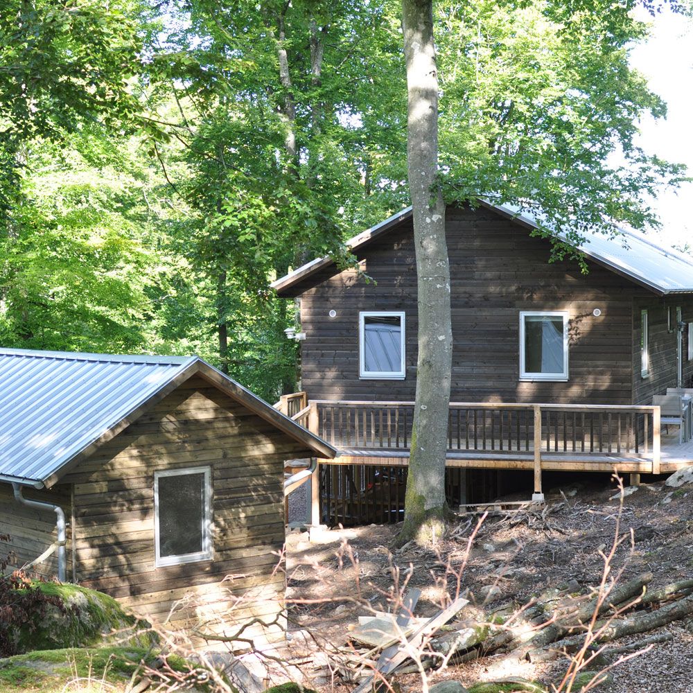 sommarstuga-skog-träfasad